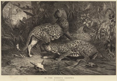 In het Land van de Vijand door George Bouverie Goddard
